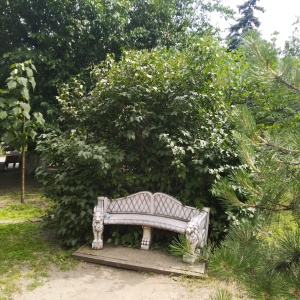 Фото от владельца Городской культурно-досуговый центр им. М. Горького