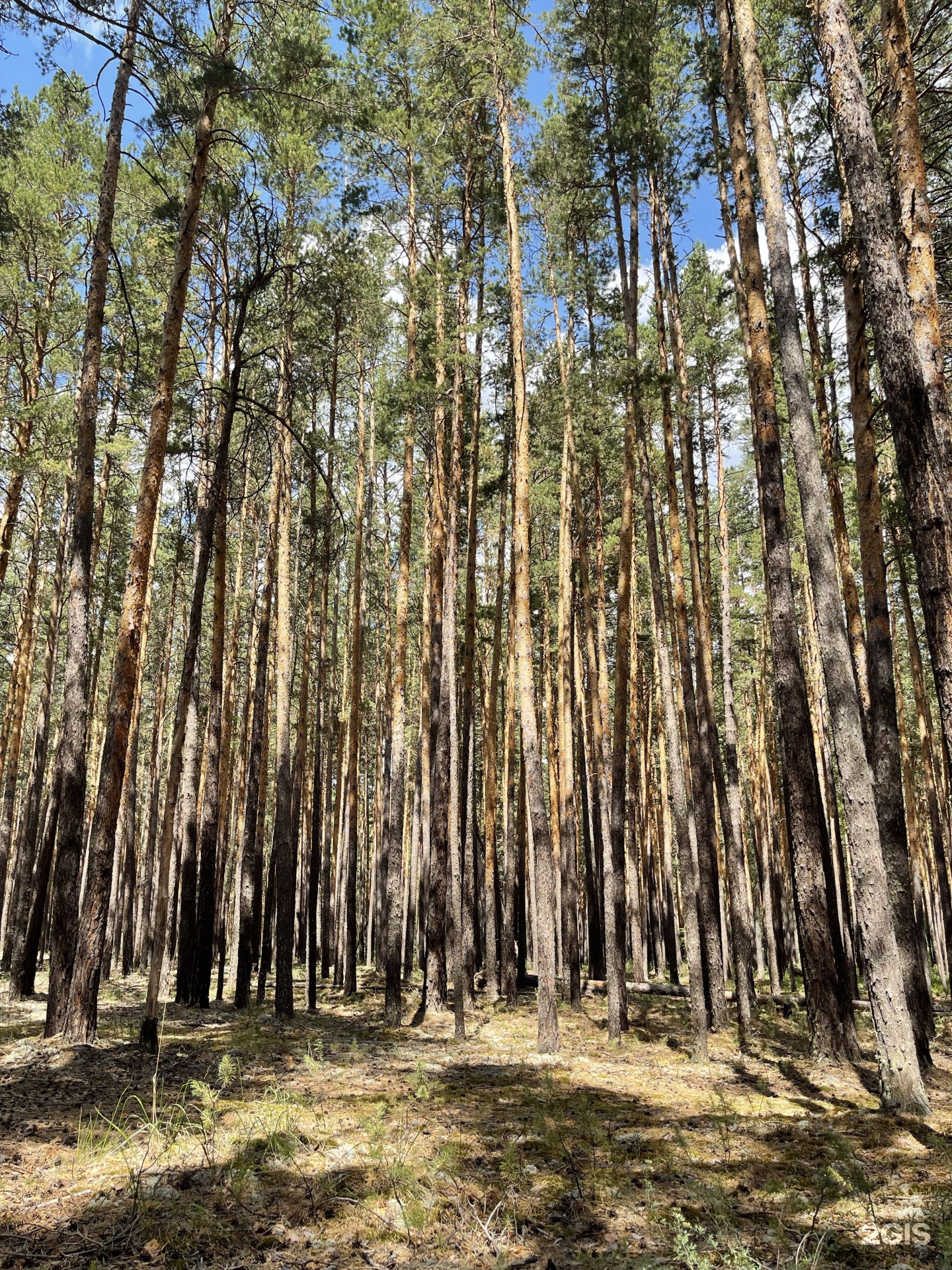 Eco Burabay