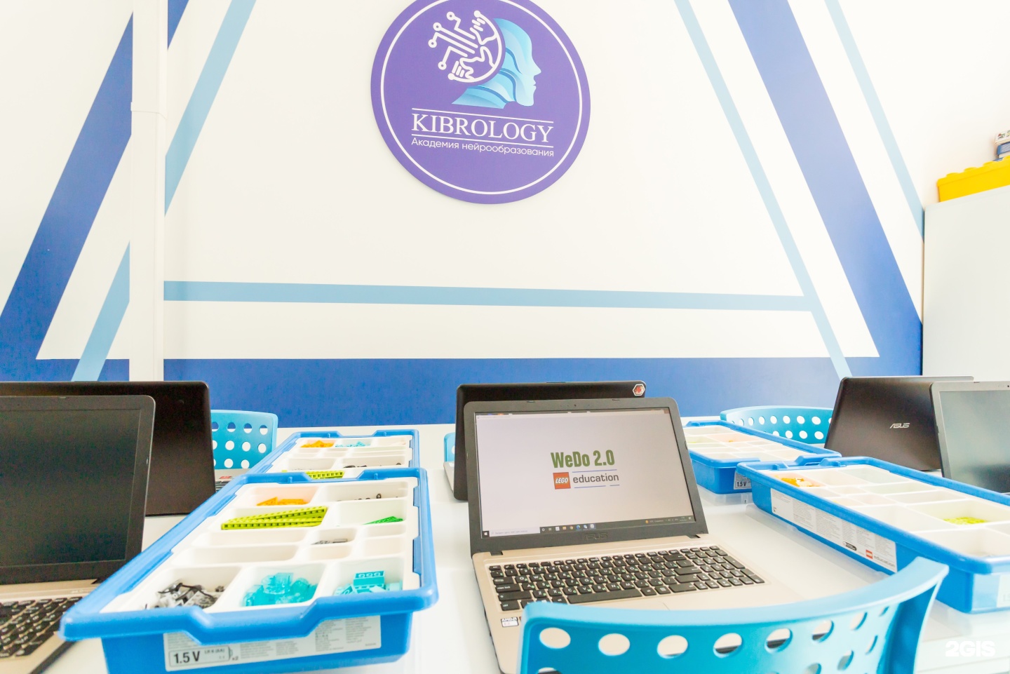 Компания academy. Kibrology. Leaf Academy.