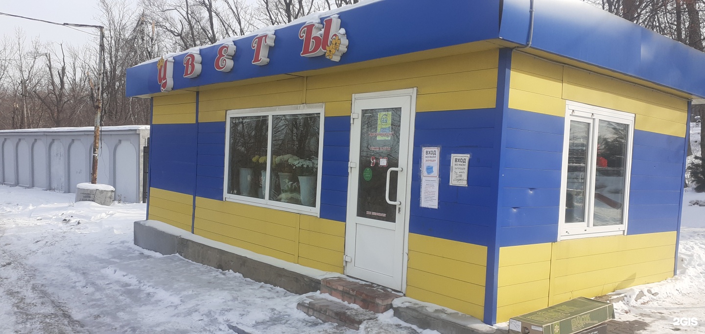 Магазин цветочный рай в Луганске. Владивосток цветочный магазин 24/7 на карьерной.