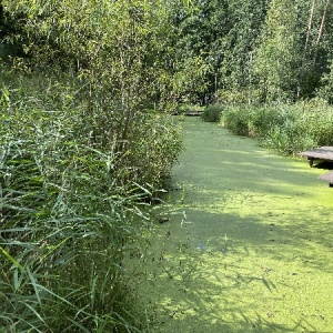 Фото от владельца Artiland, загородный клуб