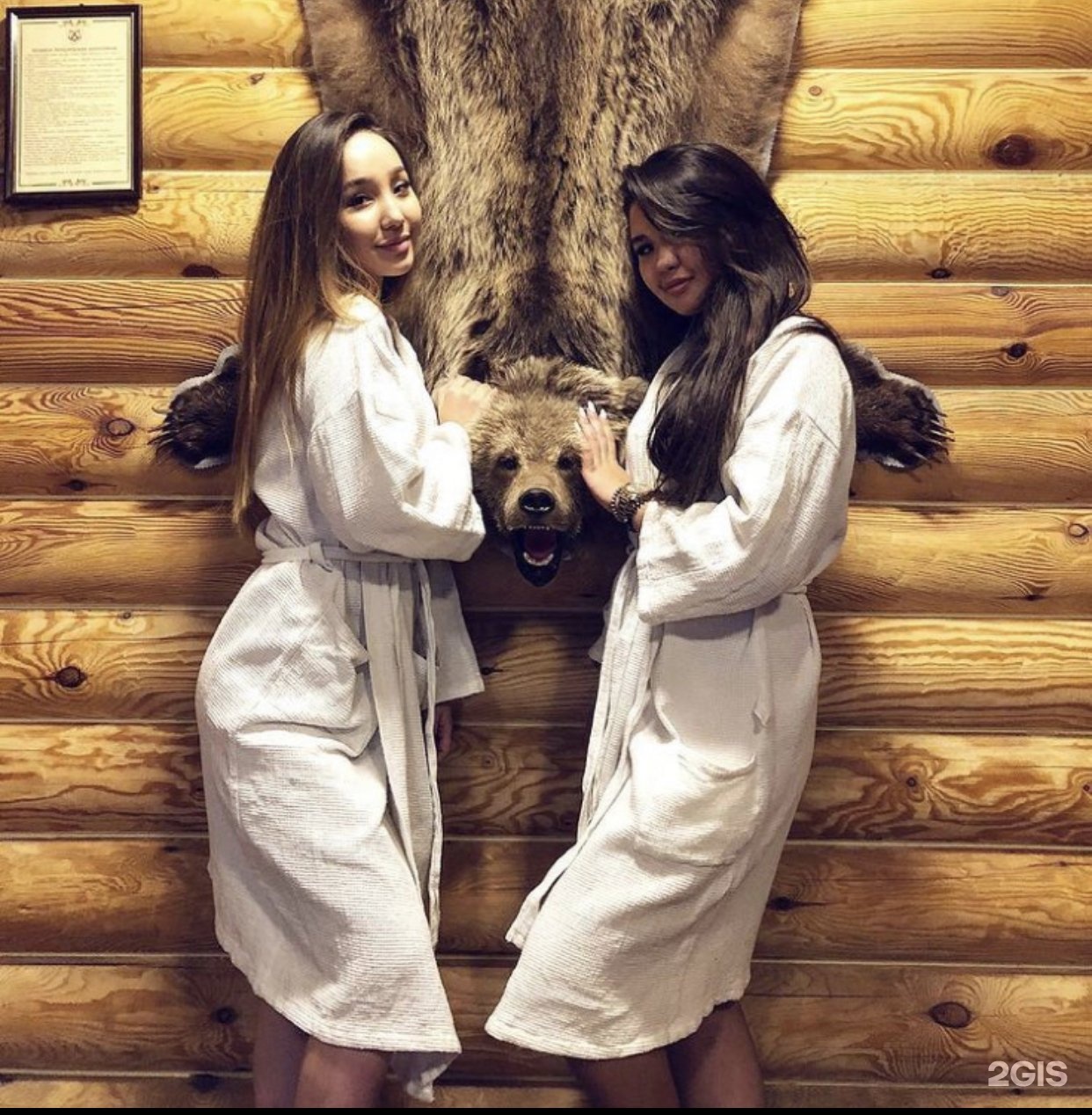 Медведь
