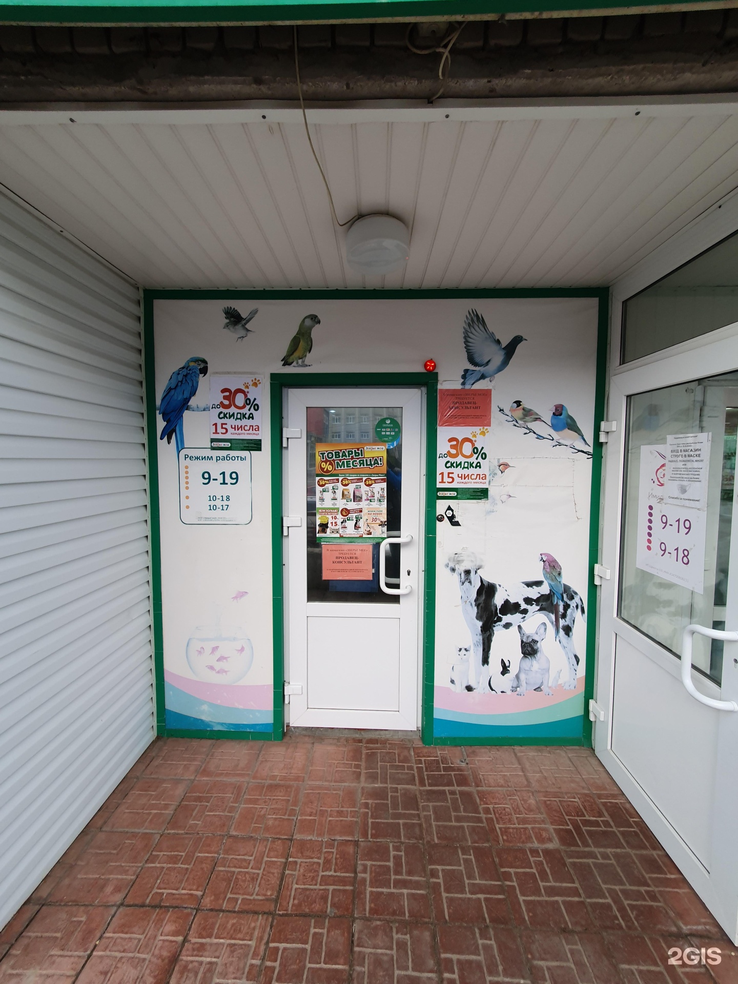 Зоомагазин на первомайской. Зоомагазин в первомайске. зоомагазин сыктывкар. зоомагазин в сыктывкаре радуга.