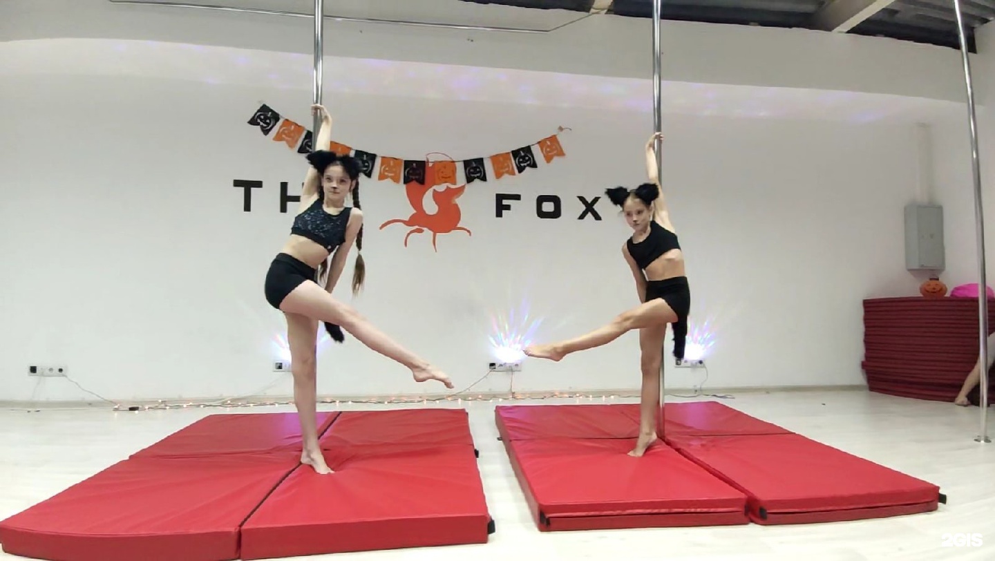 Dance fox. Foxes Dance Studio. Лиса дэнс Практик моней.