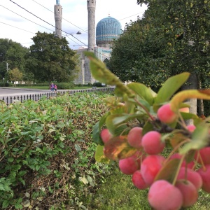 Фото от владельца Соборная мечеть г. Санкт-Петербурга