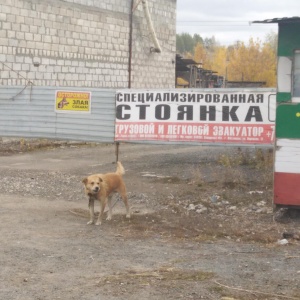 Фото от владельца Специализированные автостоянки