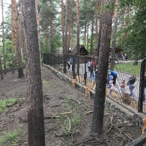 Фото от владельца Новосибирский зоопарк им. Р.А.Шило