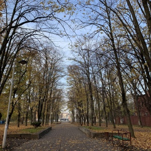 Фото от владельца Чистяковская роща, парк культуры и отдыха