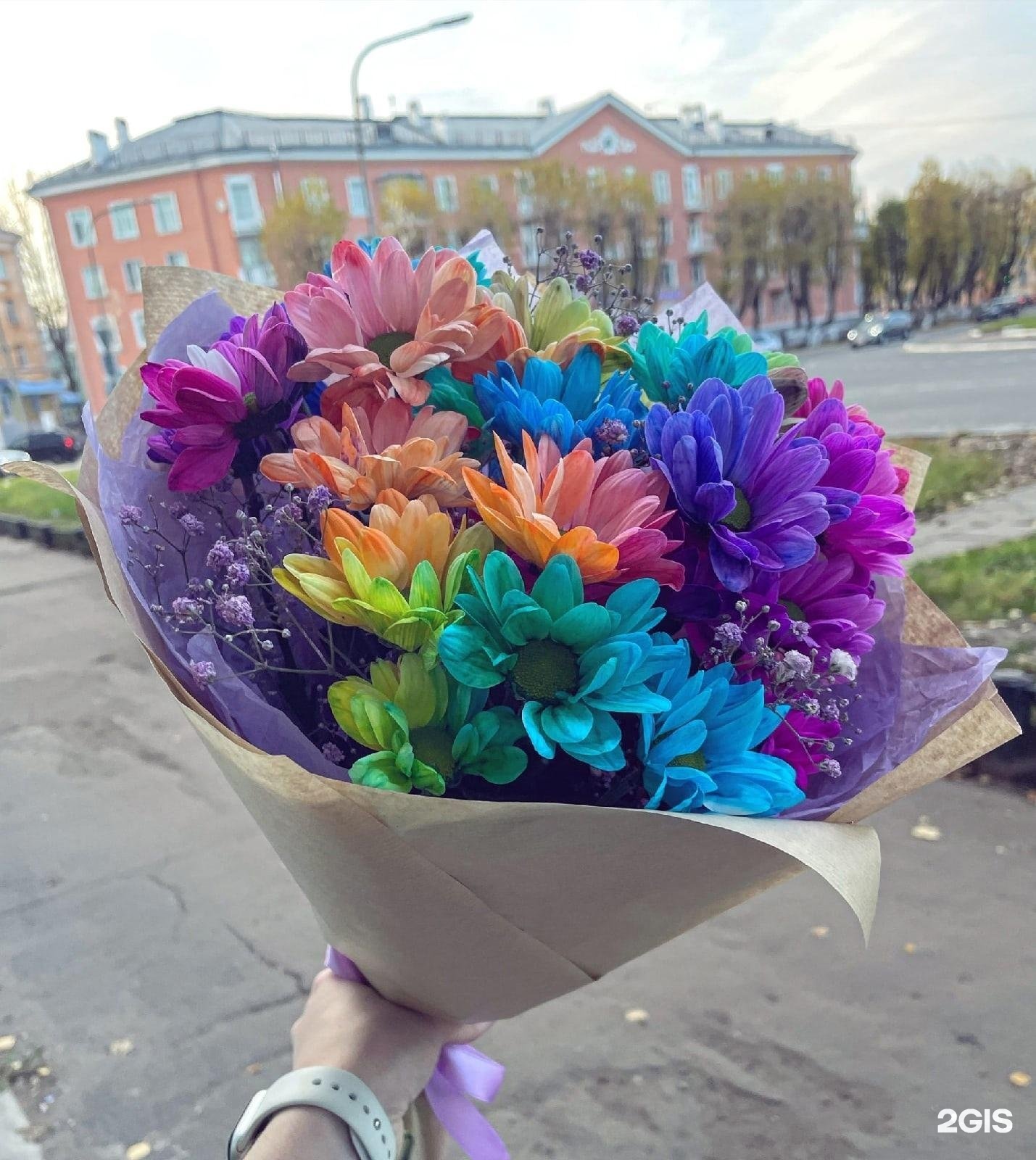 Цветы Северодвинск Купить Адреса
