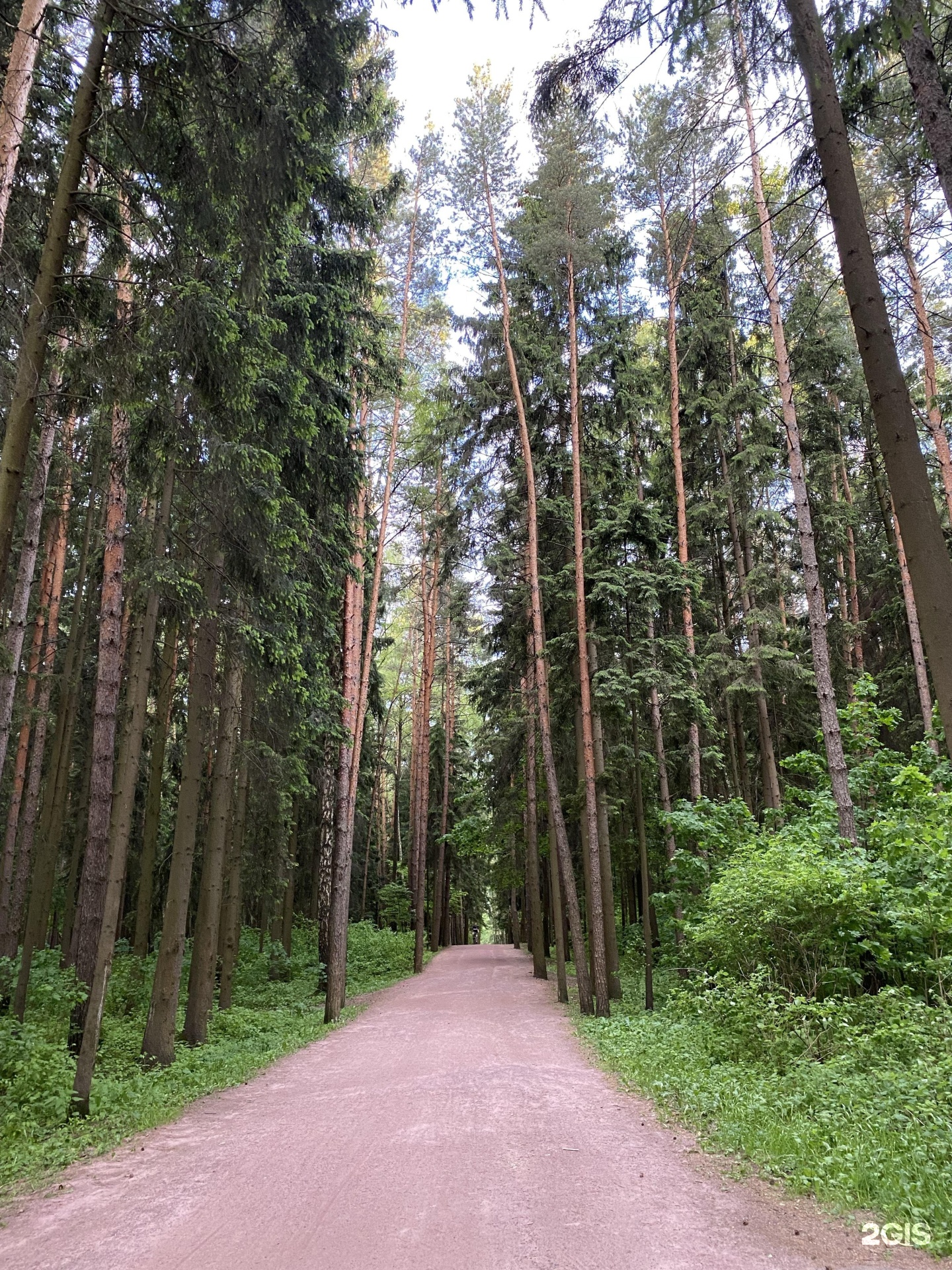 мещерский парк одинцово