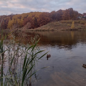 Фото от владельца Щелоковский хутор, архитектурно-этнографический музей-заповедник