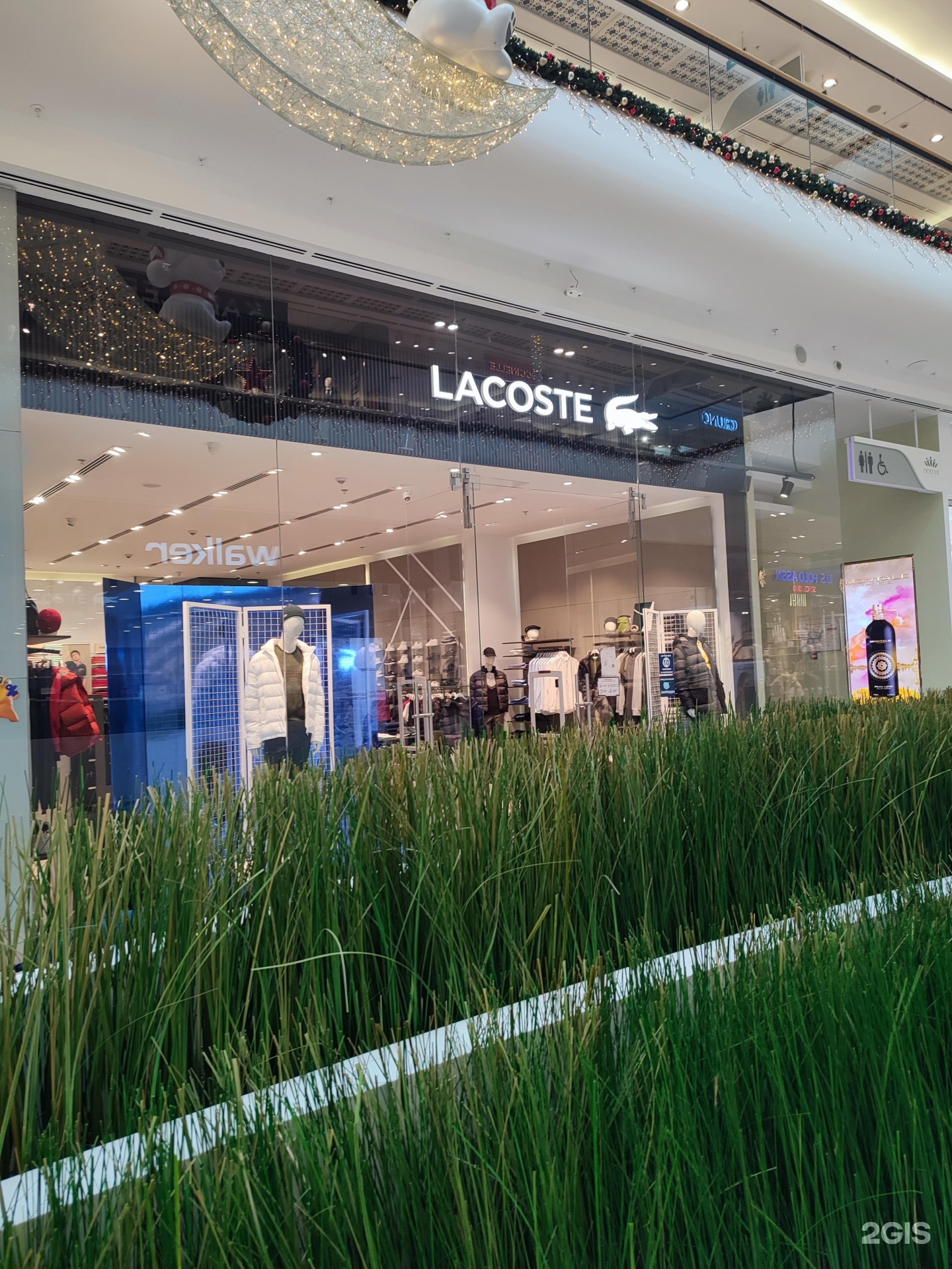 Lacoste galleria outlet mall