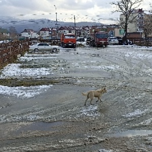 Фото от владельца ЮГ-1, автостоянка