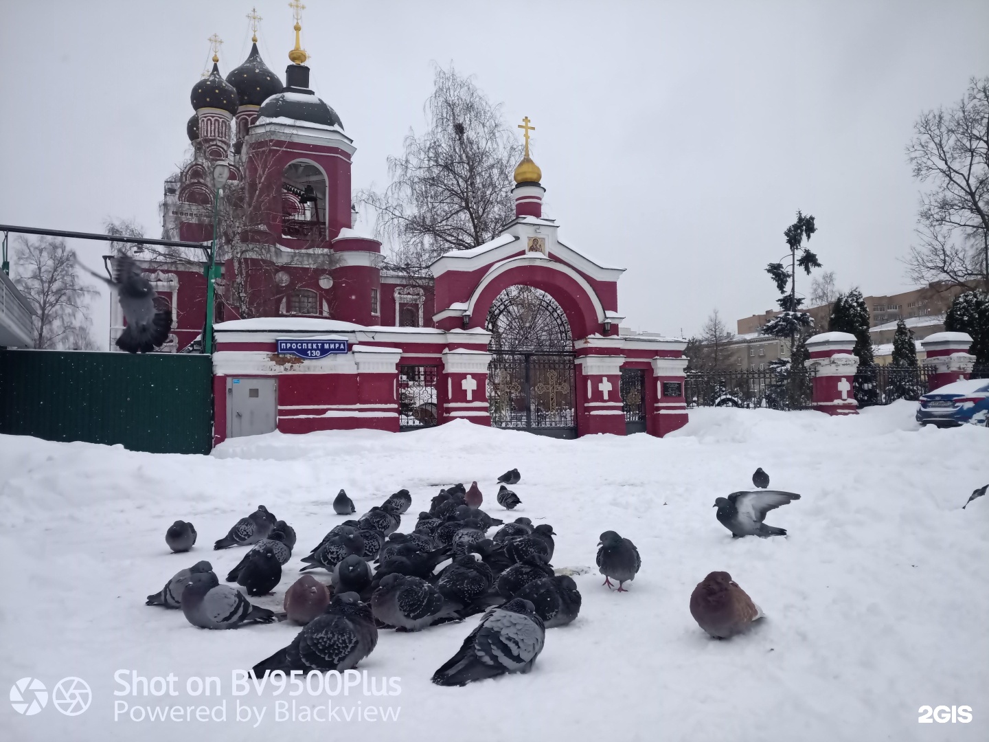 Алексеевское кладбище в Москве. Алексеевское кладбище livejournal.