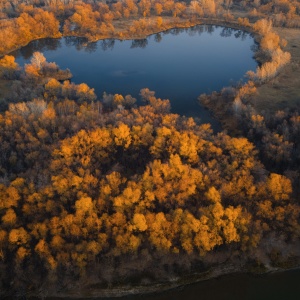 Фото от владельца БЕНИЛЮКС, парк-шале