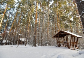 Отель Заимка Лесника в Белокурихе
