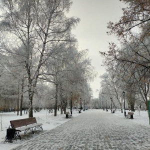 Фото от владельца Парк культуры и отдыха им. 50 лет Октября