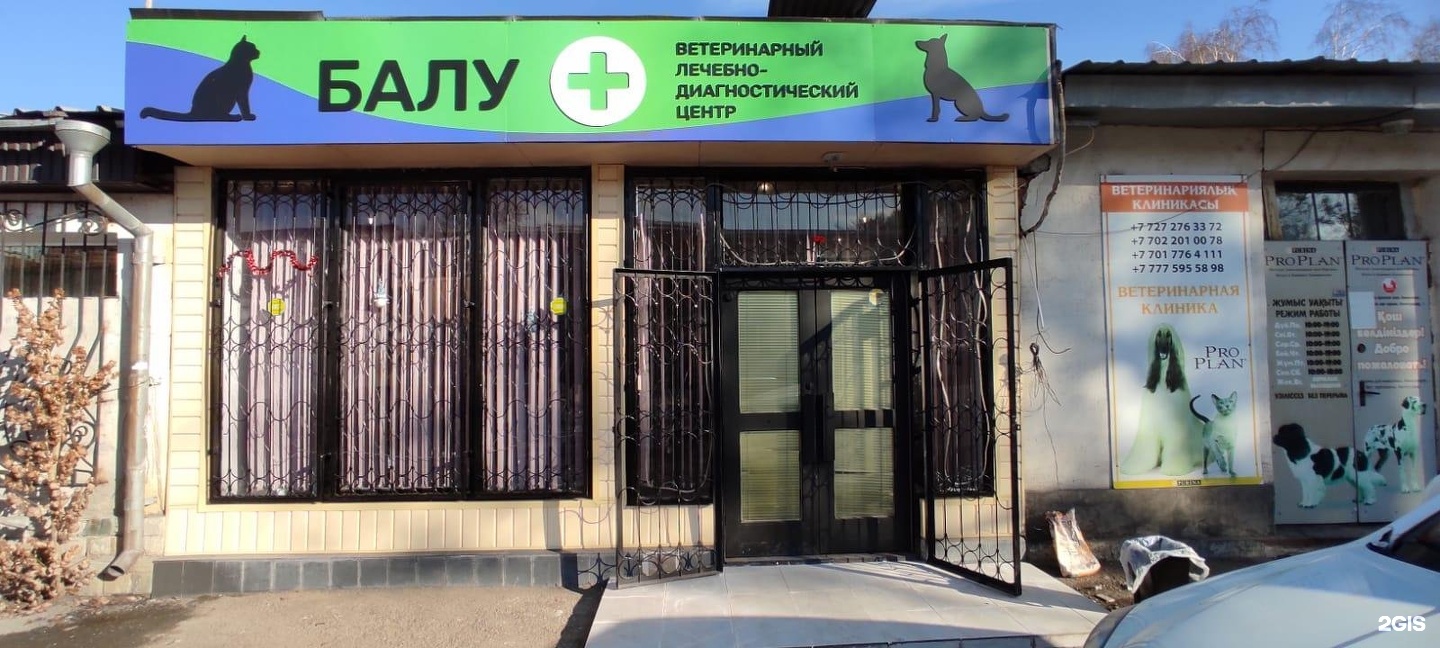 Ленина 209 балу ветеринарная клиника. Ветклиники ростова на дону балу