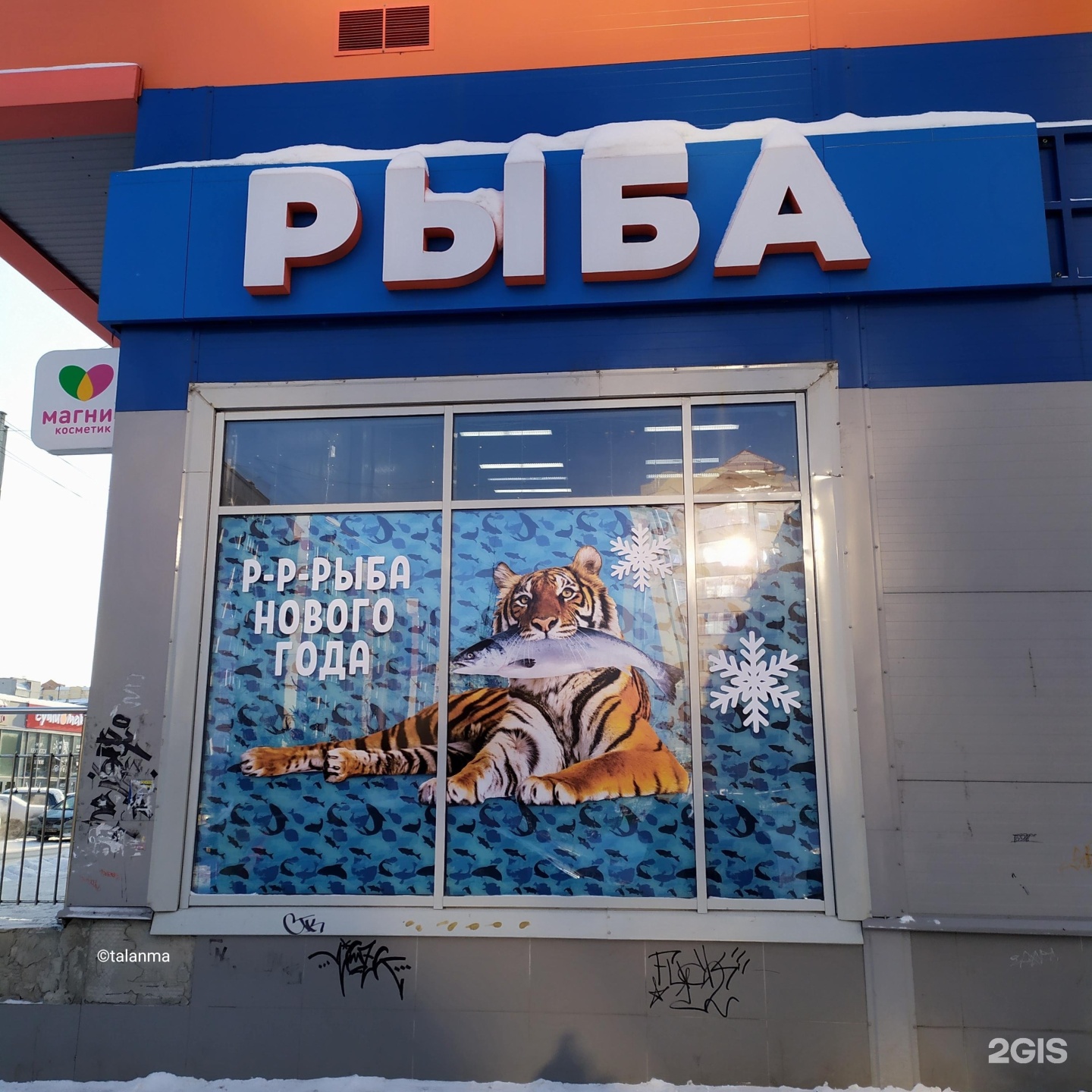 Сибванна. Рыбный магазин Новосибирск. Рыбный магазин НСК. Новосибирская 18/1.