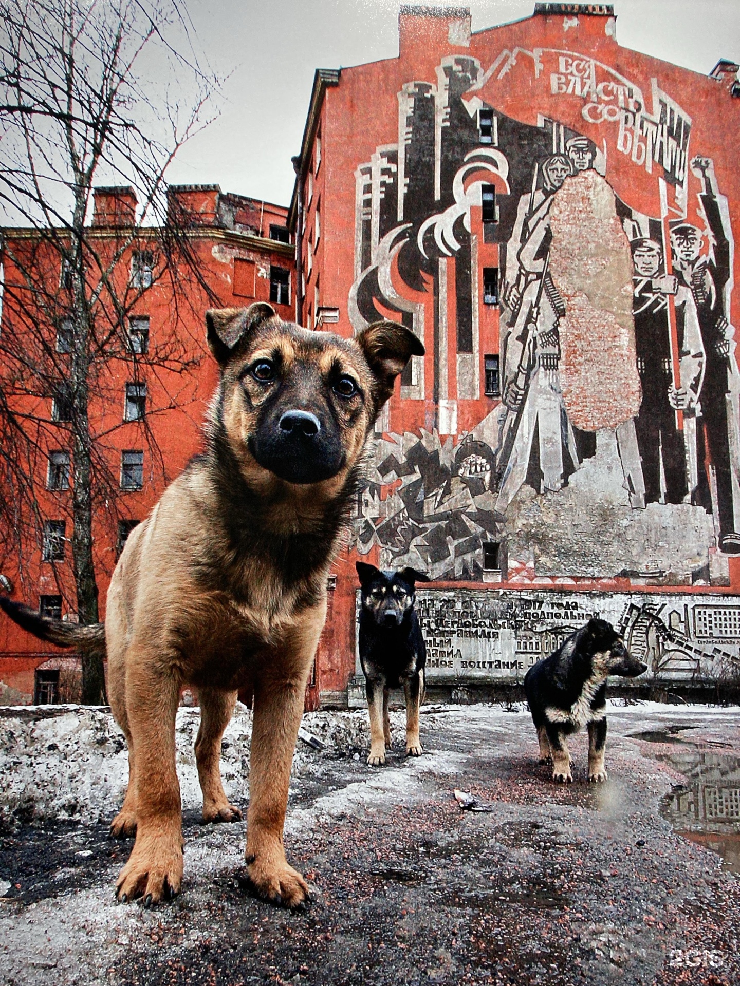 Фотографии Александра Петросяна