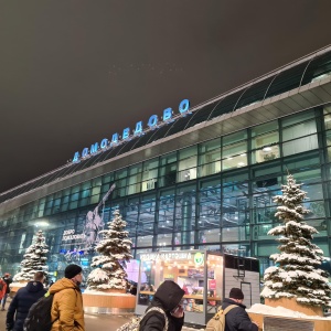 Фото от владельца Домодедово, международный аэропорт