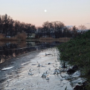 Фото от владельца Южный, ландшафтный парк