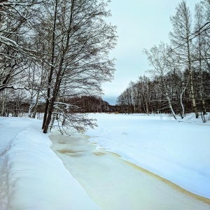 Фото от владельца Дубки, парк культуры и отдыха