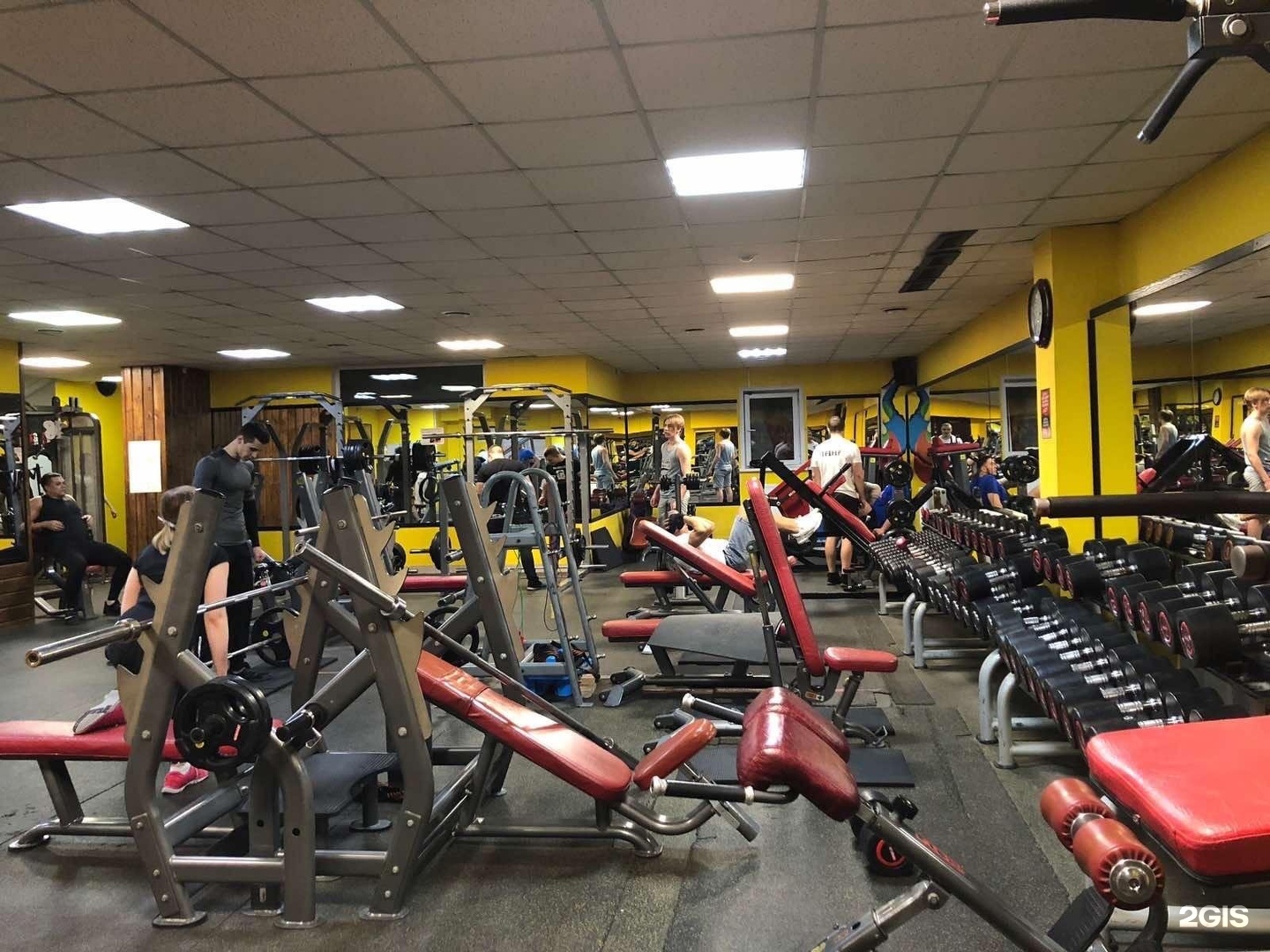 Figura gym тольятти