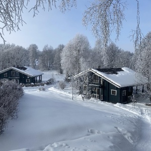 Фото от владельца Голицыно, эко-клуб