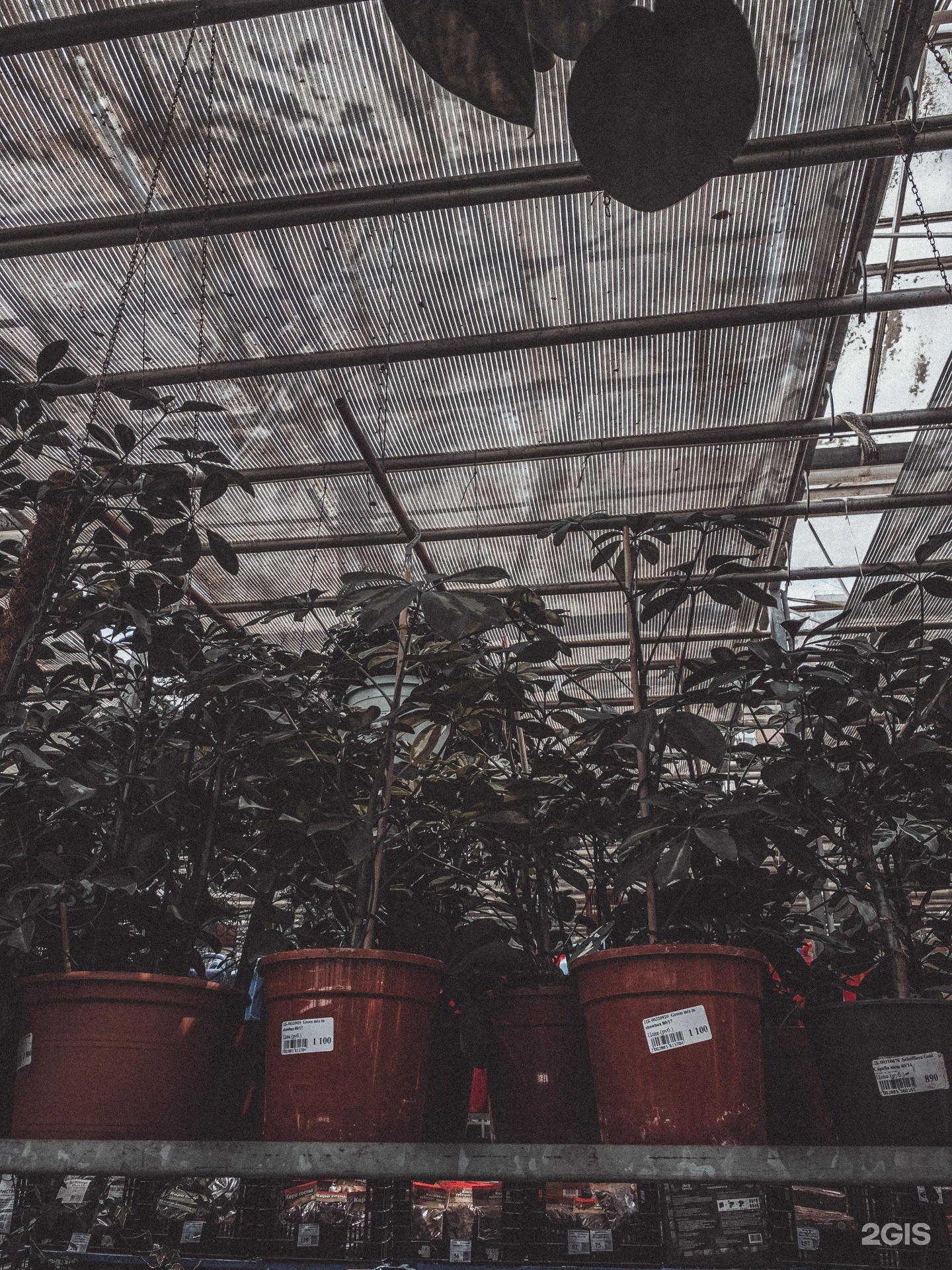 Садовый центр на атарбекова краснодар. Атарбекова 3 краснодар садовый центр. Садовый центр на 40 лет победы в краснодаре. Садовый центр, краснодар, улица атарбекова. Атарбекова 3 садовый центр.