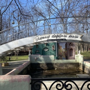 Фото от владельца Чистяковская роща, парк культуры и отдыха