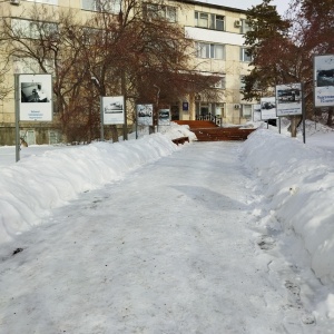 Фото от владельца Алькасар, ООО