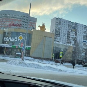 Фото от владельца Каньон, торговый центр