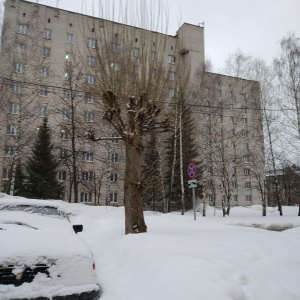 Фото от владельца Чувашский государственный университет им. И.Н. Ульянова