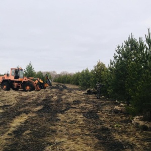 Фото от владельца Братья Green, группа компаний