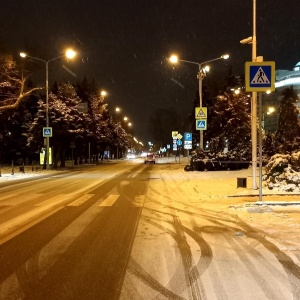 Фото от владельца Храм Александра Невского