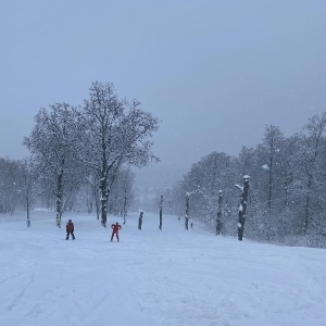 Фото от владельца Волков, загородный клуб