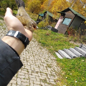 Фото от владельца Большевик, база отдыха