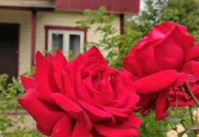 Турбаза Кантри в Санкт-Петербурге