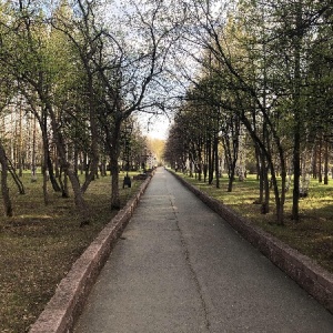 Фото от владельца Берёзки, бар