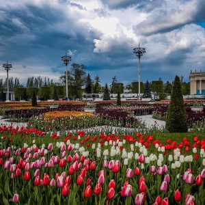 Фото от владельца ВДНХ, ОАО