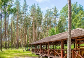 Турбаза Лосево парк на Ладожском озере