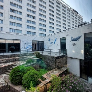 Фото от владельца AZIMUT HOTELS Владивосток, международная сеть отелей