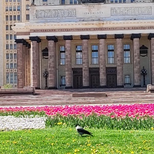 Фото от владельца Московский государственный университет им. М.В. Ломоносова