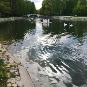 Фото от владельца Лианозовский, парк культуры и отдыха