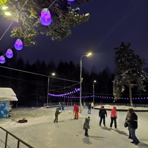 Заельцовский парк новосибирск зимой