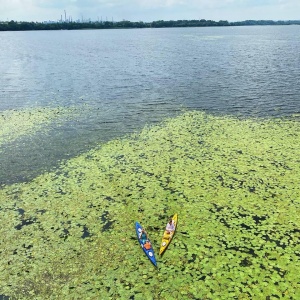 Фото от владельца Водник48, клуб спортивного туризма