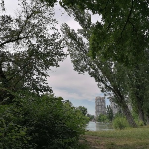 Фото от владельца Солнечный остров, парк культуры и отдыха