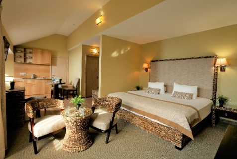 Сириус: Отель Hotel La Terrassa