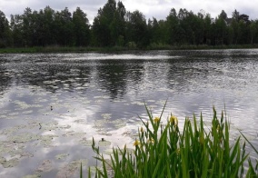 Отель Рауту в Ленинградской области